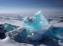 九游app下载最新版本-【官方】尼科·科瓦奇执教多特蒙德，签约1年半